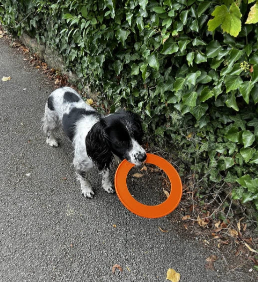 Dog Flying Disc Ring Fun Frisbee Throw Fetch Retrieve Catch Toy Beach Garden