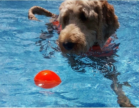 Indestructible Ball Dog Toy Solid Boomer Ball Tough Durable Heavy Duty + Floats
