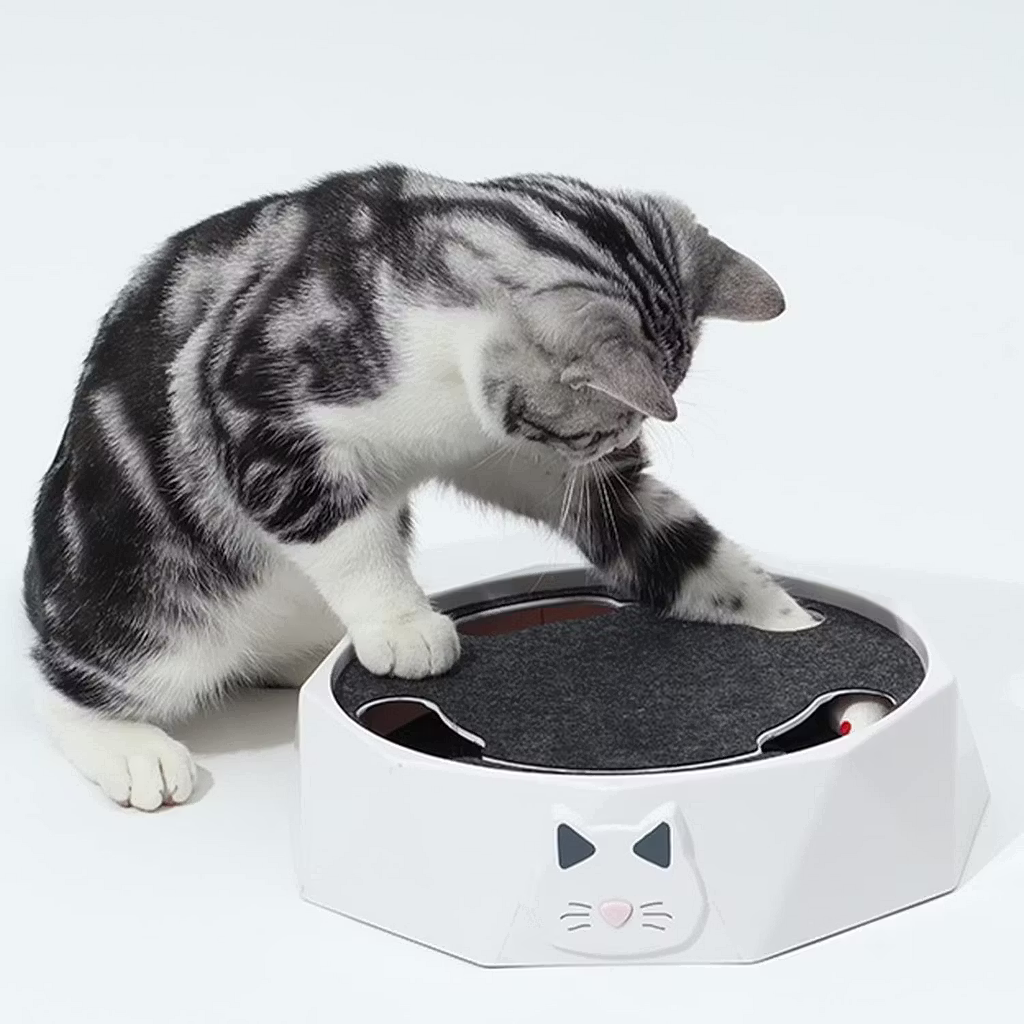 Electric Cat Toys 2 Speed Adjustable Automatic Puzzle Catch Mouse Play Cat Toy for Pet Supplies