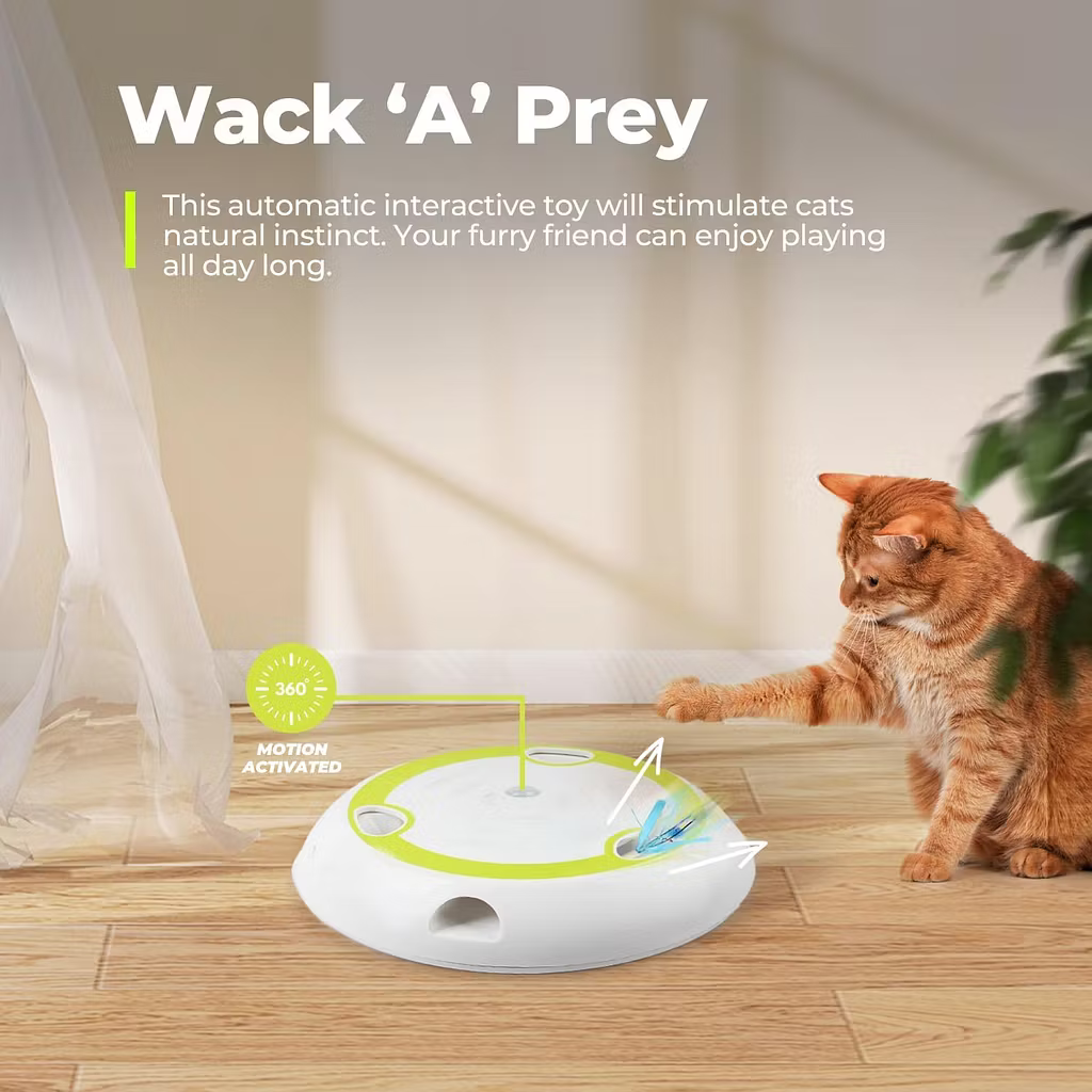 Electric Cat Toys 2 Speed Adjustable Automatic Puzzle Catch Mouse Play Cat Toy for Pet Supplies