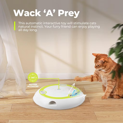 Electric Cat Toys 2 Speed Adjustable Automatic Puzzle Catch Mouse Play Cat Toy for Pet Supplies