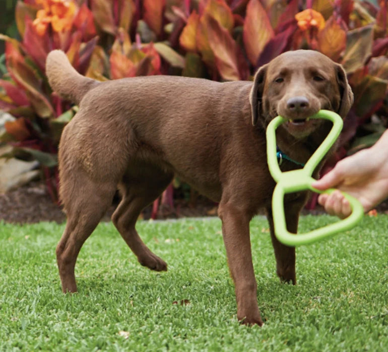 Tug of War Pull Toy for Large Medium Small Dogs Heavy Duty Rubber Dog Toy 32cm