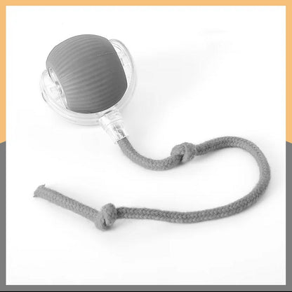Rotating Smart Ball Cat Toy