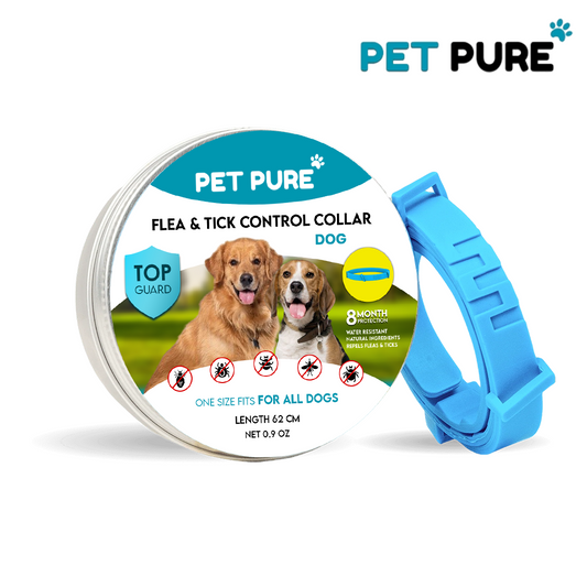 PET PURE Flea & Tick Control Collar for Dogs