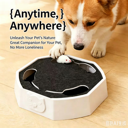 Electric Cat Toys 2 Speed Adjustable Automatic Puzzle Catch Mouse Play Cat Toy for Pet Supplies