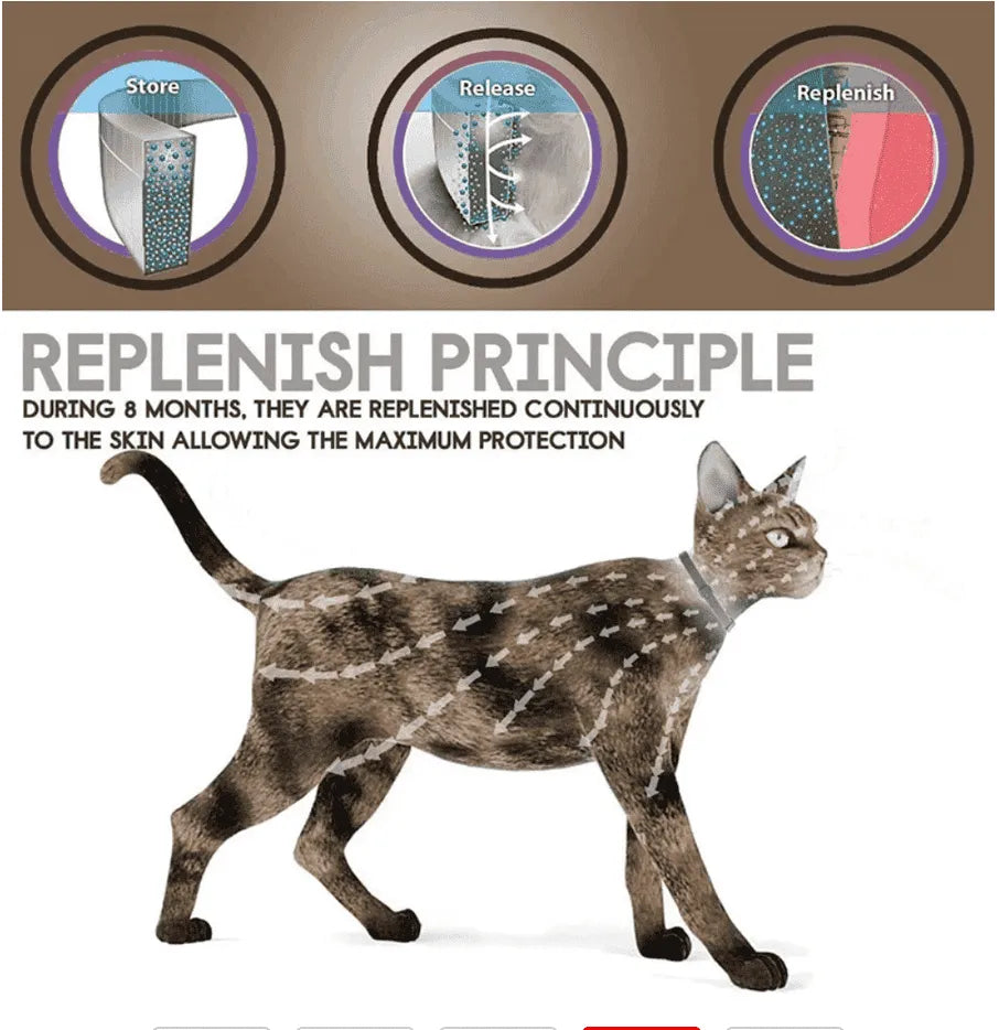 Flea & Tick Control Collar for Cats - Get Petpure