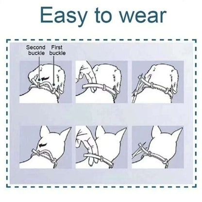 Flea & Tick Control Collar for Cats - Get Petpure