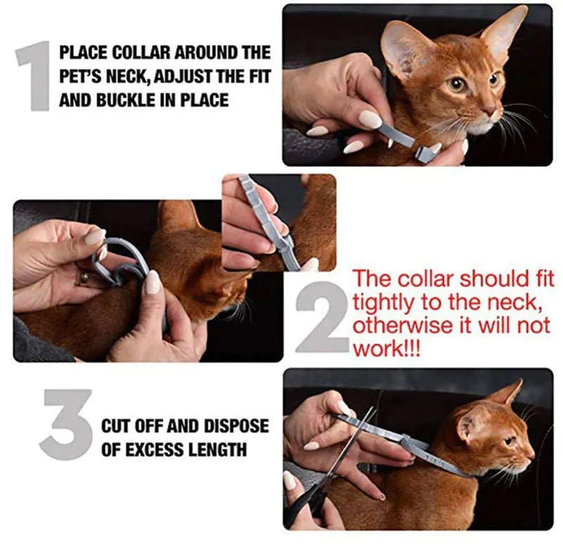 Flea & Tick Control Collar for Cats - Get Petpure
