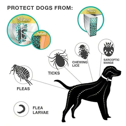 Flea & Tick Control Collar for Dogs - Get Petpure