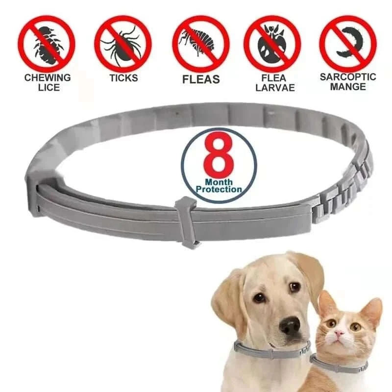 Flea & Tick Control Collar for Dogs - Get Petpure