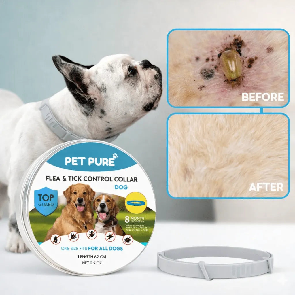 Flea & Tick Control Collar for Dogs - Get Petpure