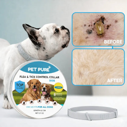 Flea & Tick Control Collar for Dogs - Get Petpure