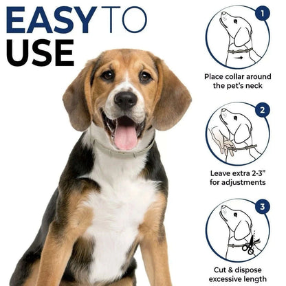 Flea & Tick Control Collar for Dogs - Get Petpure