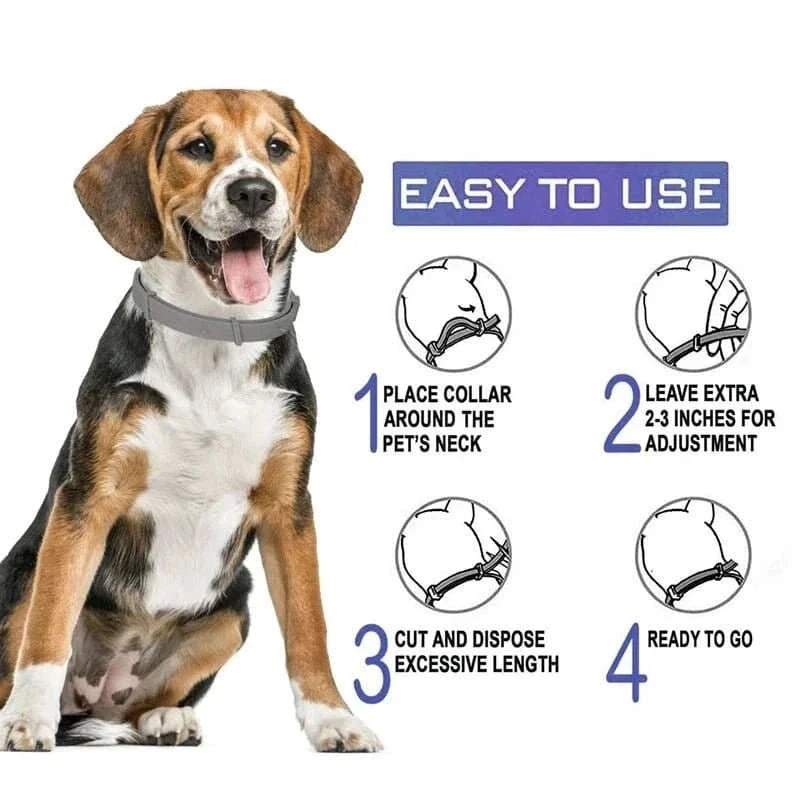 Flea & Tick Control Collar for Dogs - Get Petpure