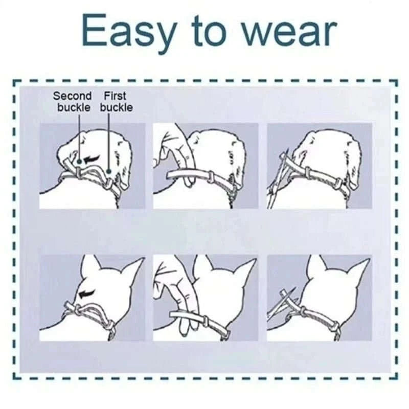 Flea & Tick Control Collar for Dogs - Get Petpure