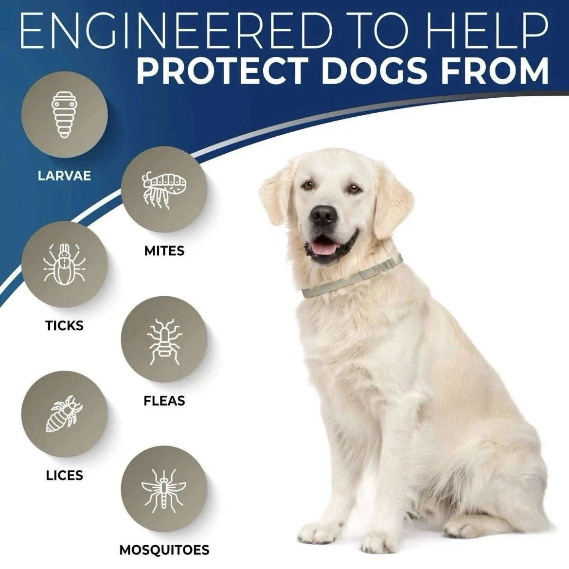 Flea & Tick Control Tag for Dogs - Get Petpure