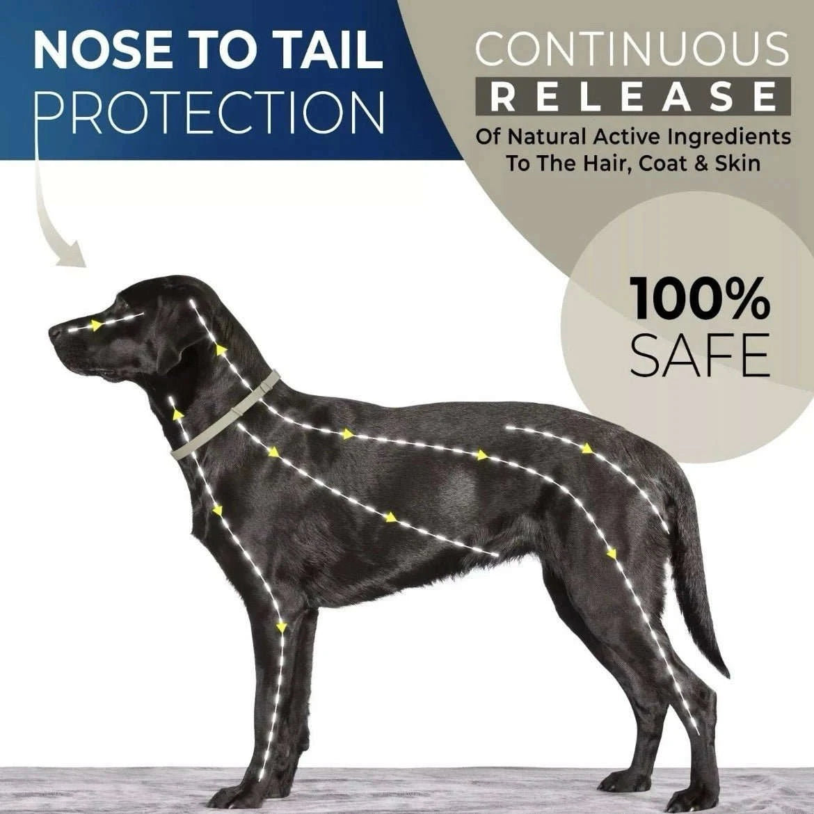 Flea & Tick Control Tag for Dogs - Get Petpure