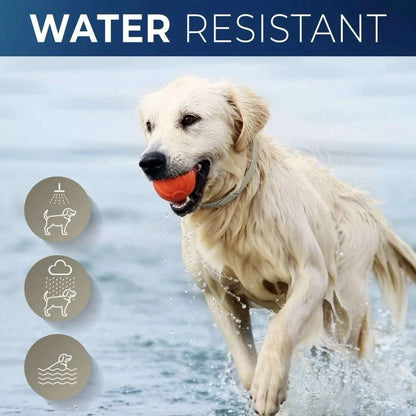 Flea & Tick Control Tag for Dogs - Get Petpure