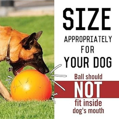Indestructible Ball Dog Toy Solid Boomer Ball Tough Durable Heavy Duty + Floats