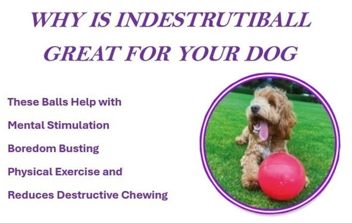 Indestructible Ball Dog Toy Solid Boomer Ball Tough Durable Heavy Duty + Floats