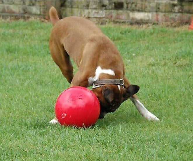 Indestructible Ball Dog Toy Solid Boomer Ball Tough Durable Heavy Duty + Floats