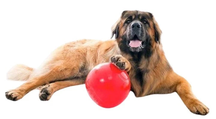 Indestructible Ball Dog Toy Solid Boomer Ball Tough Durable Heavy Duty + Floats