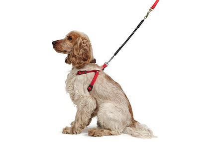 Shock Absorber Dog Lead Attachment reduces strain