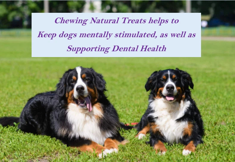 Natural Dog Treats – Ox Tails, Beef Liver, Buffalo Jerky & Lamb (Large Letterbox)
