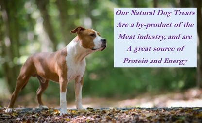 Natural Dog Treats – Ox Tails, Beef Liver, Buffalo Jerky & Lamb (Large Letterbox)