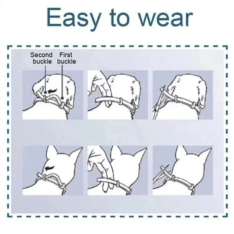 Flea & Tick Control Collar for Dogs