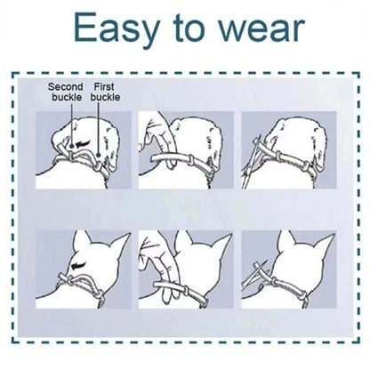 Flea & Tick Control Collar for Dogs
